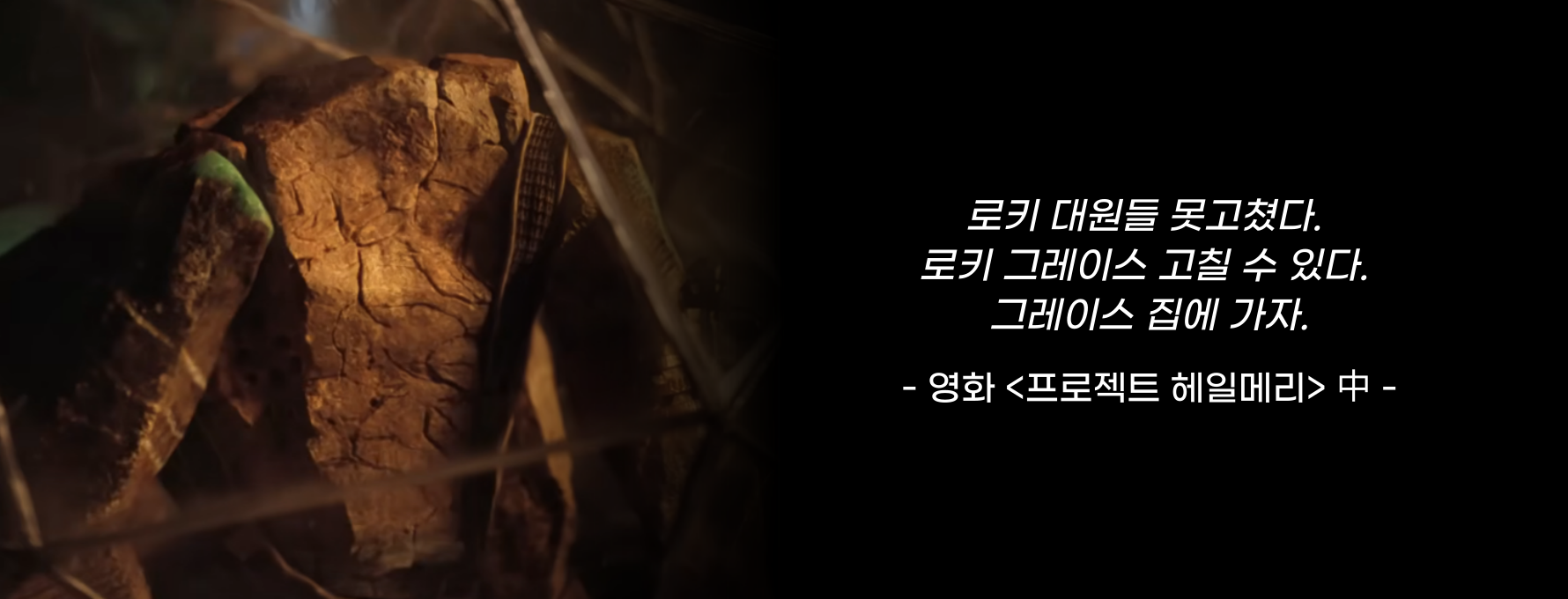 ⓒ 리드나잇 자체제작