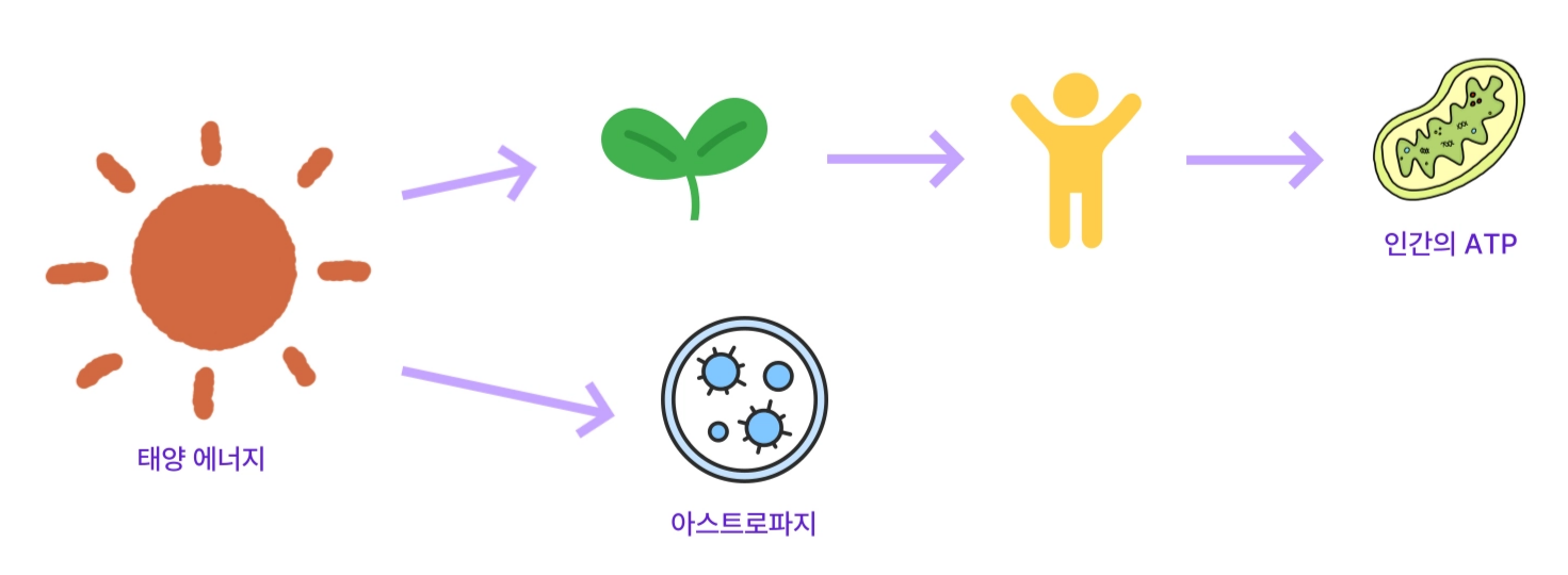 ⓒ 리드나잇 자체제작