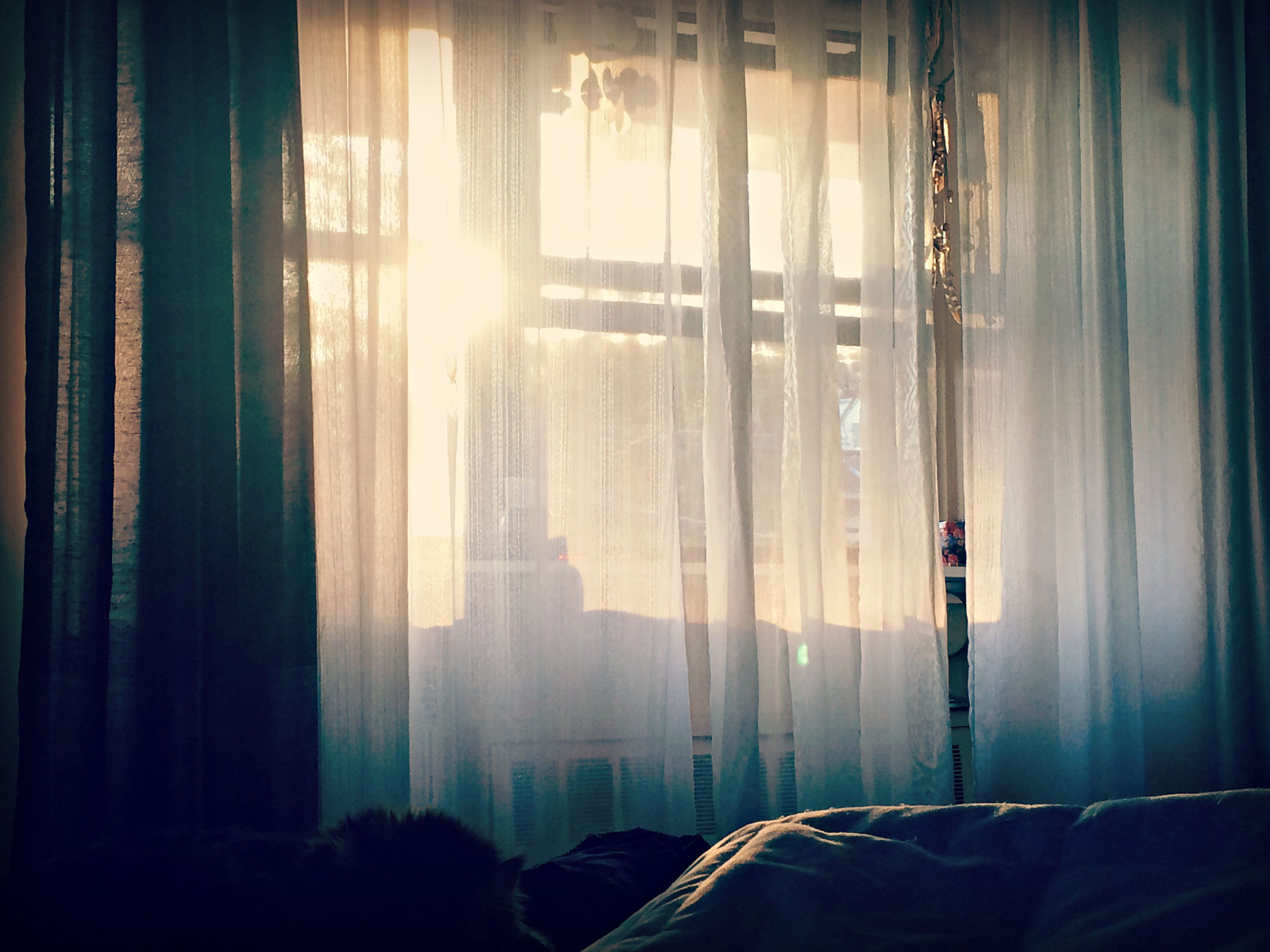 잃을 것이 없는 자의 썸네일 이미지