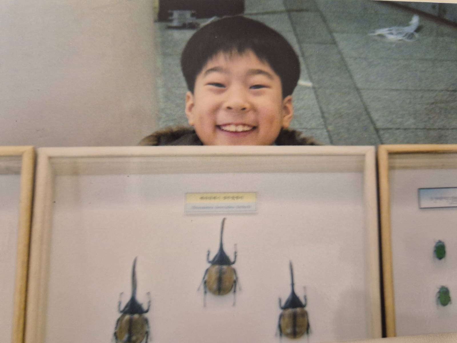 첨부 이미지