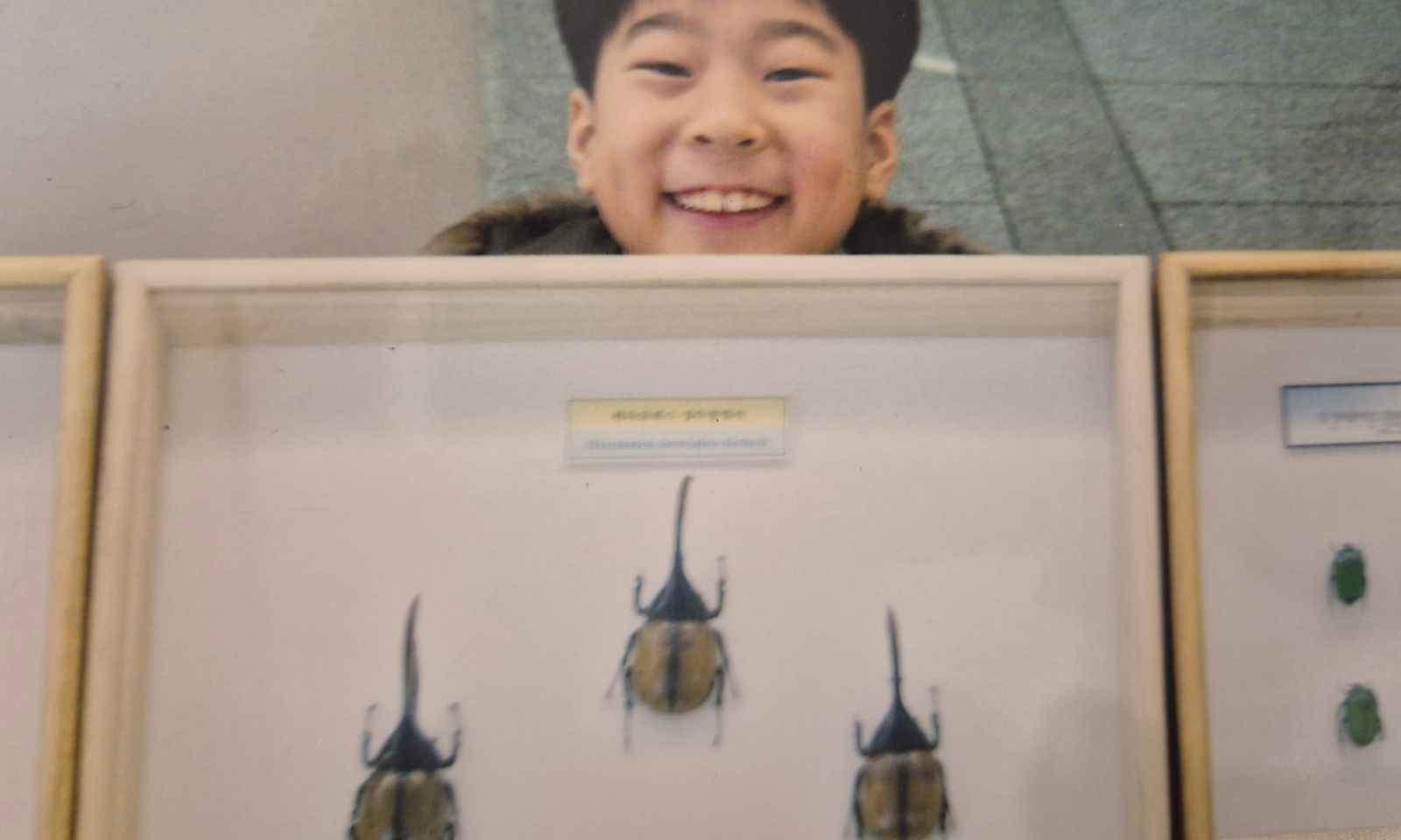 첨부 이미지