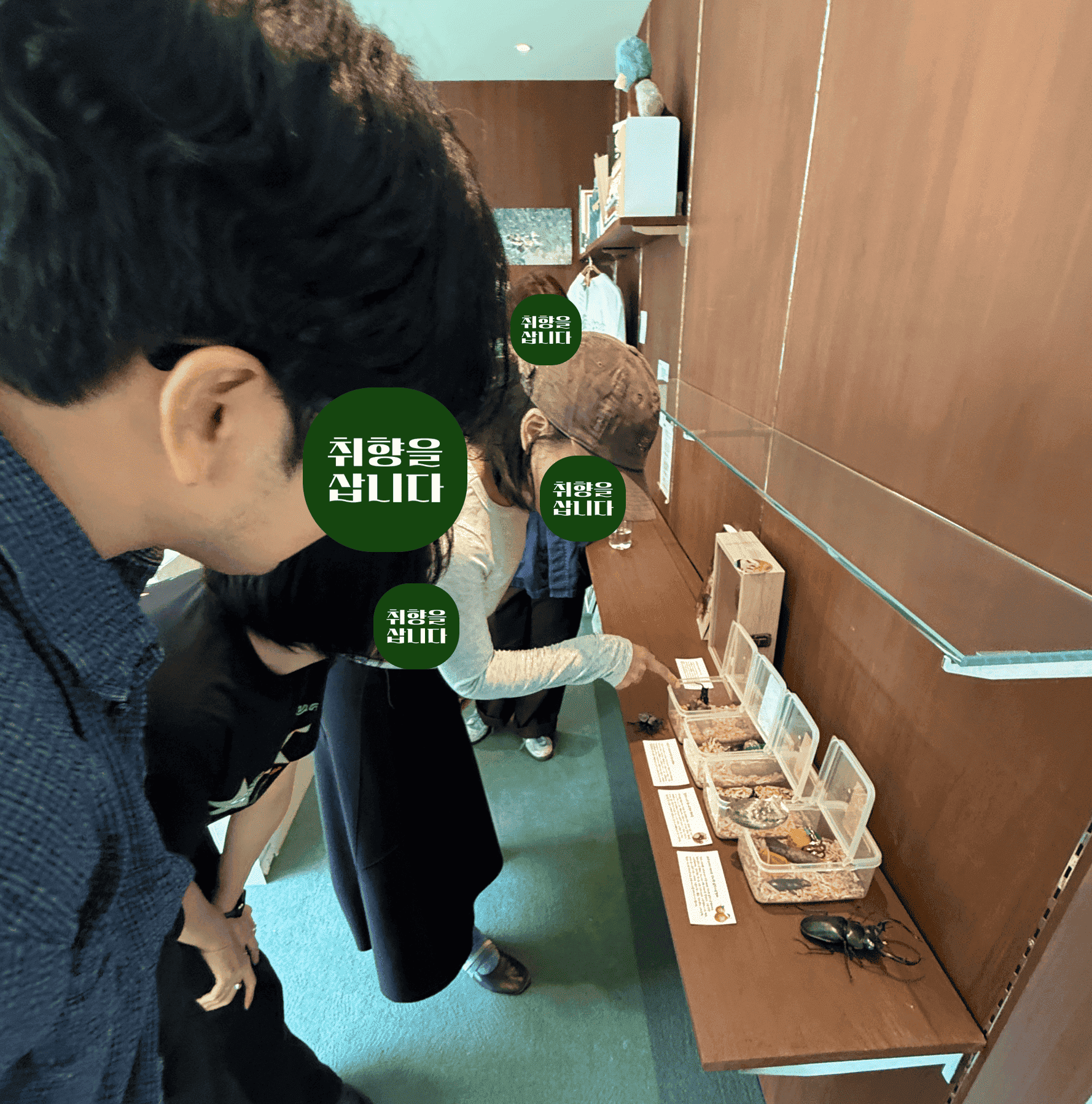 첨부 이미지