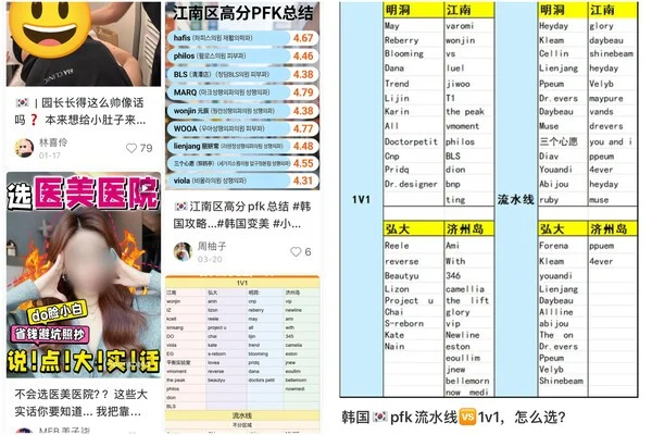 샤오홍슈에서 많이 발견되는 한국 피부과 리뷰들