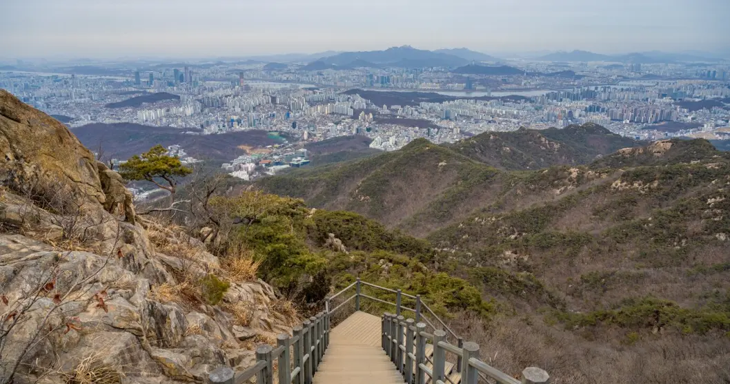 첨부 이미지
