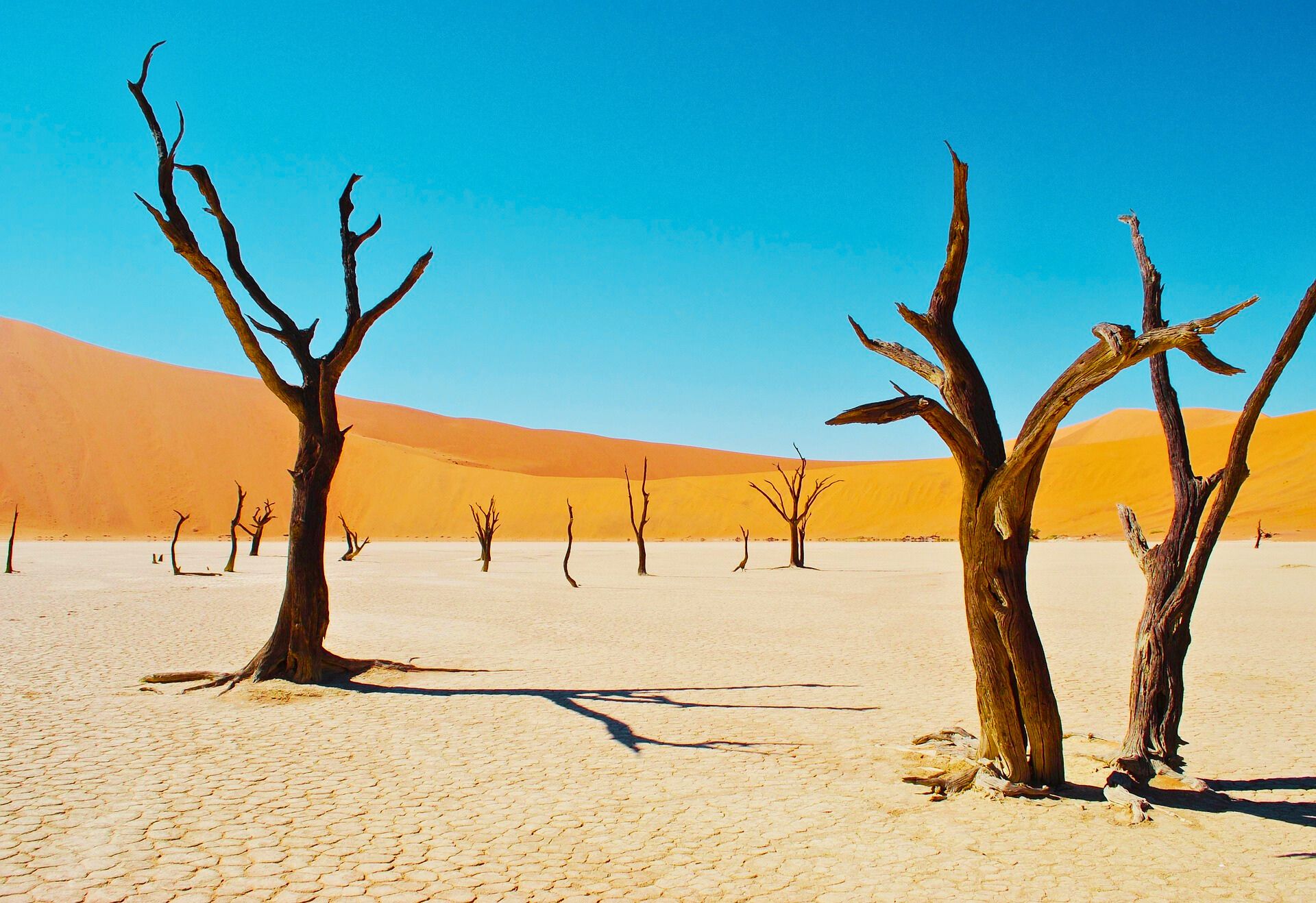 위엄있는 Afro Mood를 찾아서..