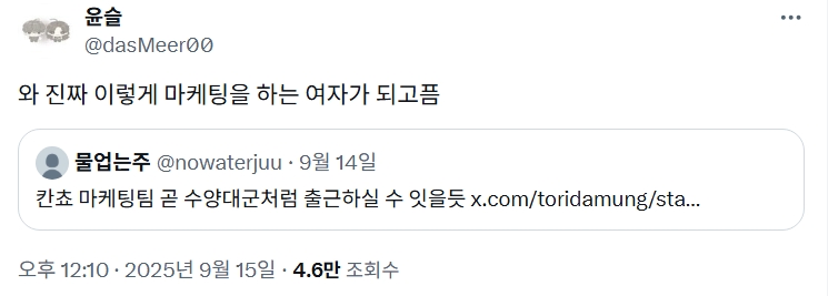 출처: X 유저 @dasMeer00 @nowaterjuu