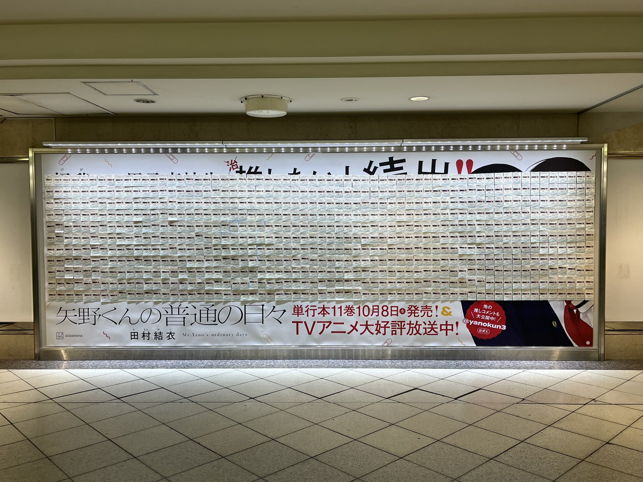   출처 : X @yanokun3