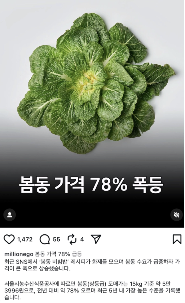 이미지 출처: 인스타그램