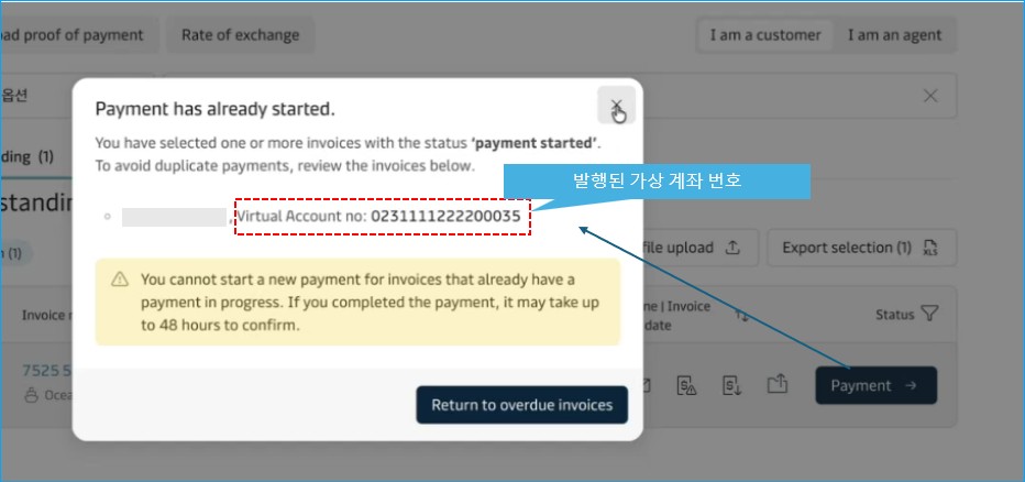 MyFinance ํ๋ฉด์์ ํด๋น ์ธ๋ณด์ด์ค์ Pay ๋ฒํผ ํด๋ฆญ ์ ๋ฐํ๋ ๊ฐ์ ๊ณ์ข ๋ฒํธ(48์๊ฐ ์ ํจ) ํ์ธ