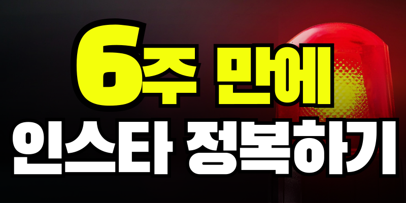 🧨'단 6주'만에 🧨 인스타 마스터하기의 썸네일 이미지