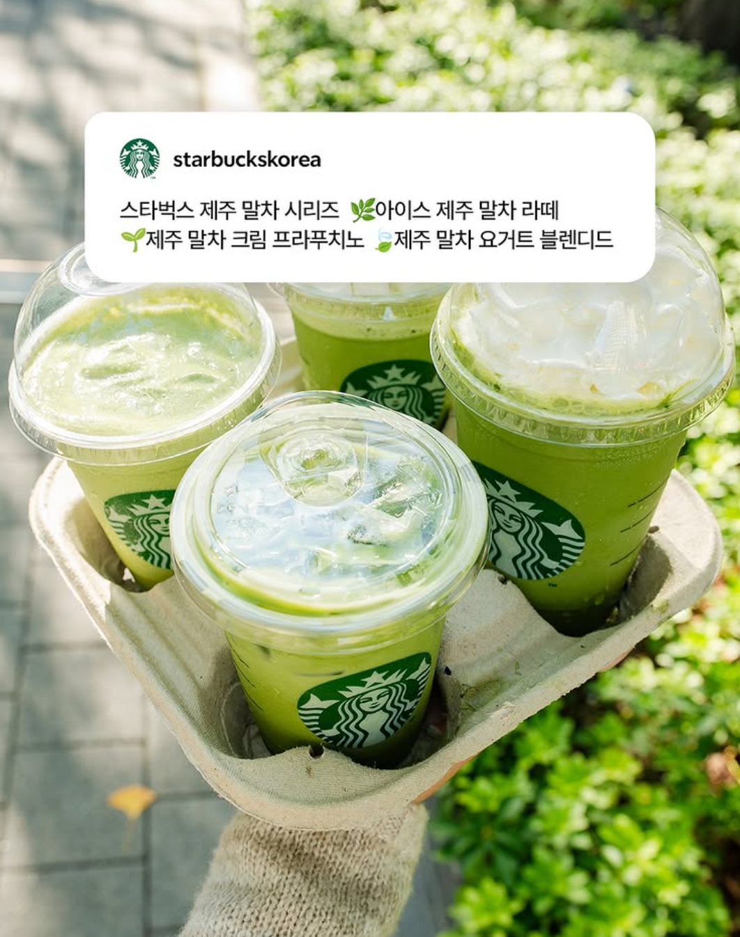 [스타벅스 인스타그램] 스타벅스의 말차 음료 제품.