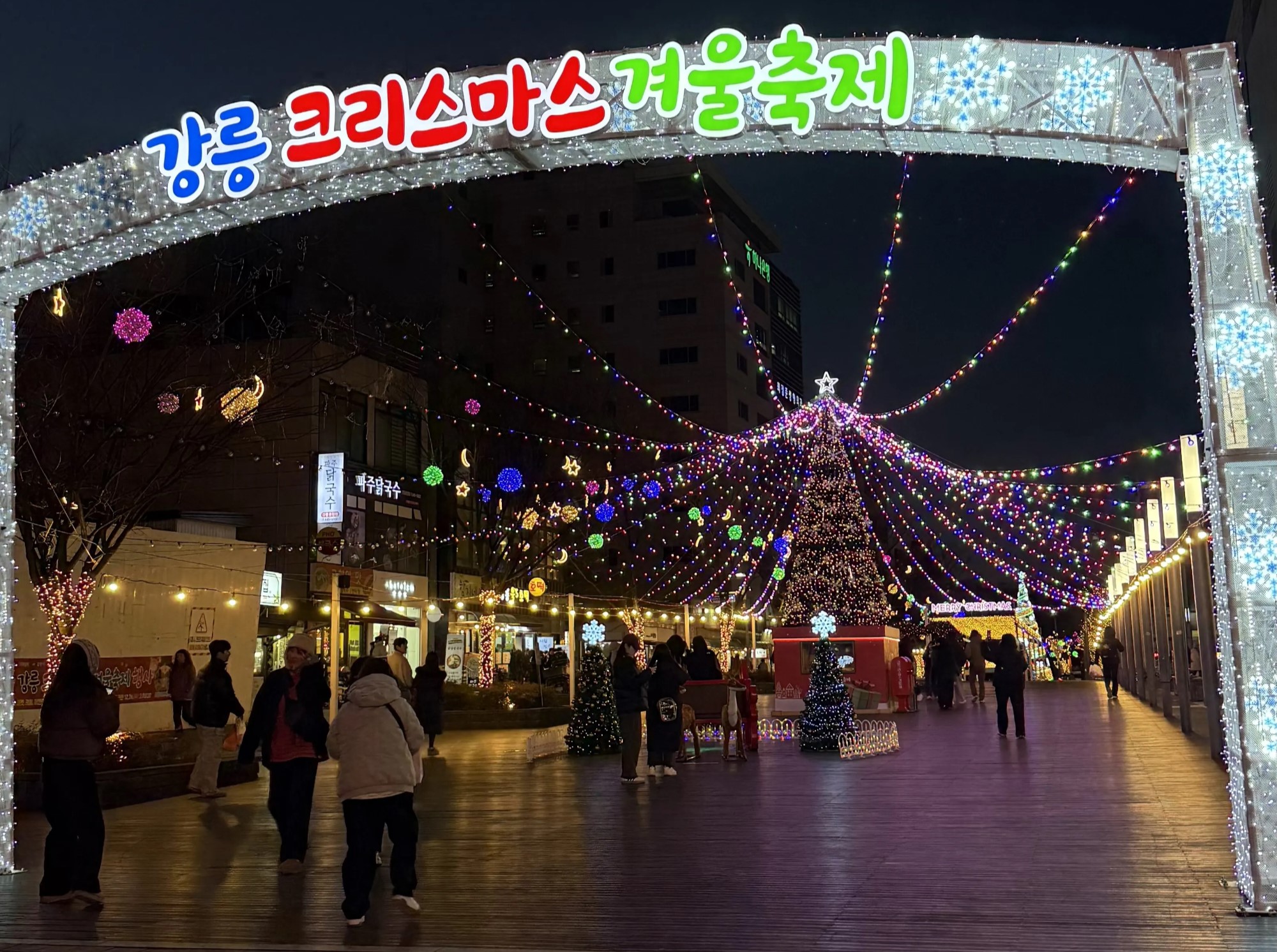 [출처: 마케팅레시피 인터뷰이 제공] 반짝이는 대형 트리와 강릉 크리스마스 겨울 축제를 즐기는 사람들의 모습.