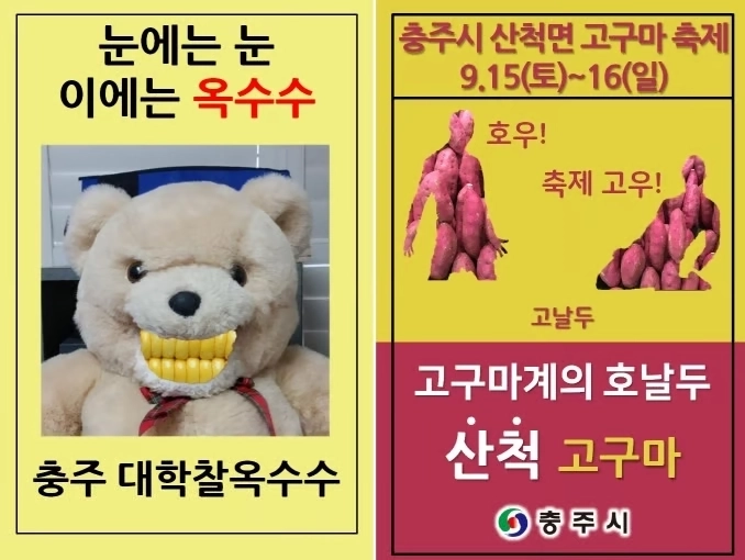 [출처: 충주시] 김선태 주무관이 만든 충주 대학찰옥수수, 산척 고구마 홍보물.
