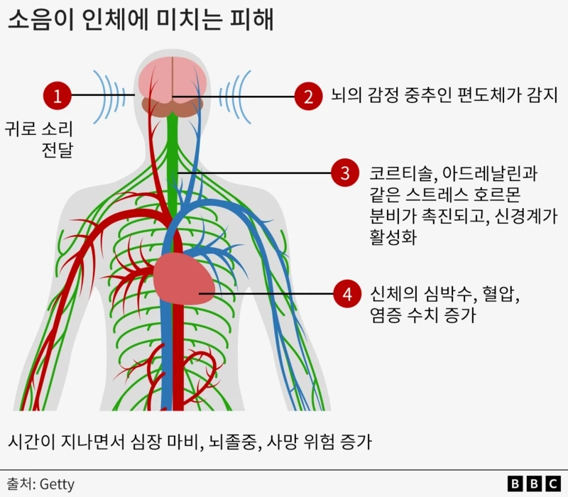 [출처: BBC] 소음에 노출되면 심장마비, 고혈압, 뇌졸중, 등의 발병 위험이 커진다는 기사 속 이미지.&nbsp;
