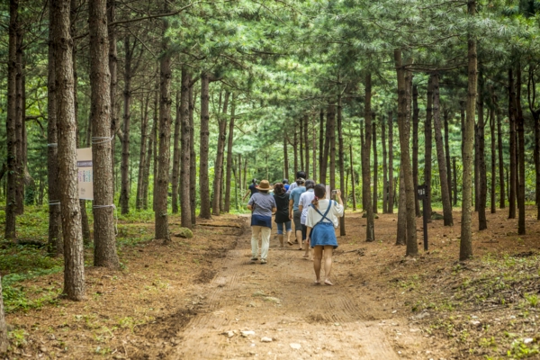 [출처: 서울대공원] 숲길 걷기 프로그램을 체험하는 모습.