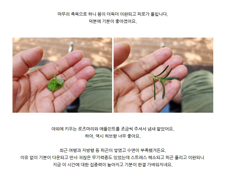 [출처: 네이버 블로거 등대] 서울대공원 산림치유 프로그램 후기 블로그 내용.