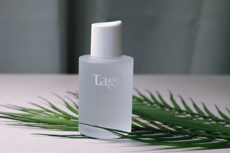 출처 : 테이지 공식 홈페이지 (리브랜딩 전)