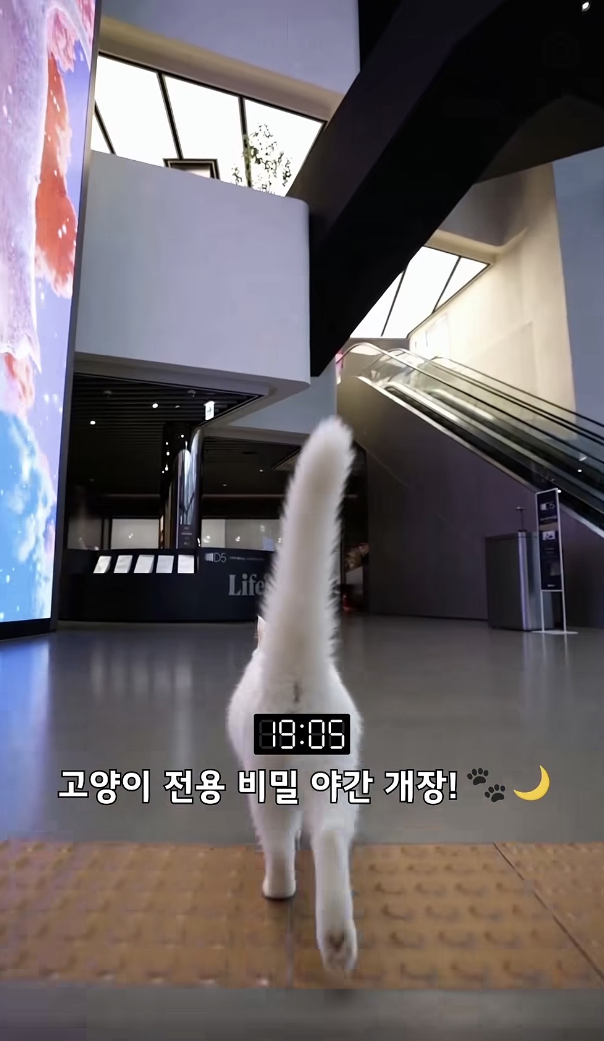&nbsp; 출처: @lgelectronics_kr&nbsp;&nbsp;