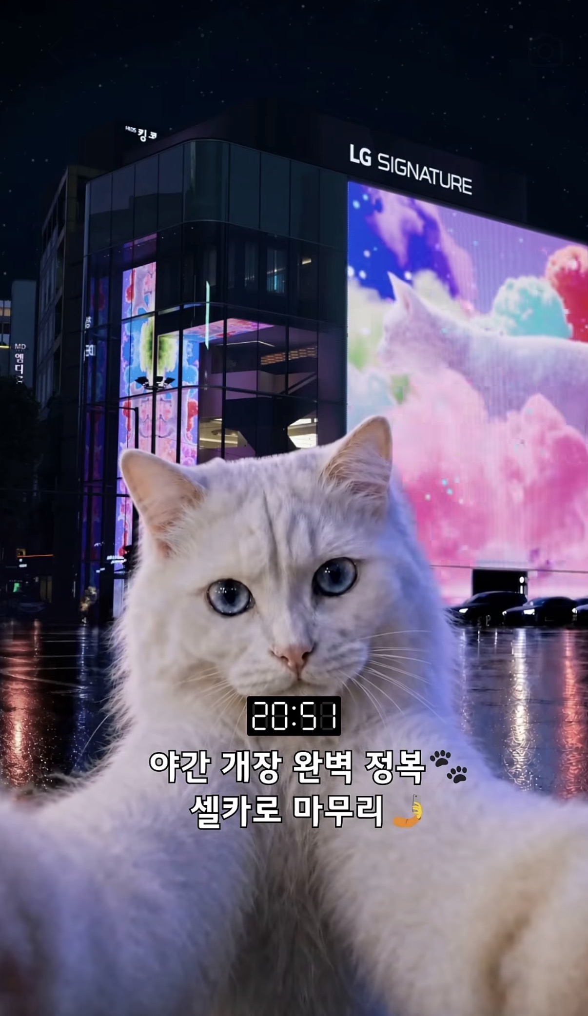 &nbsp; 출처: @lgelectronics_kr&nbsp;&nbsp;