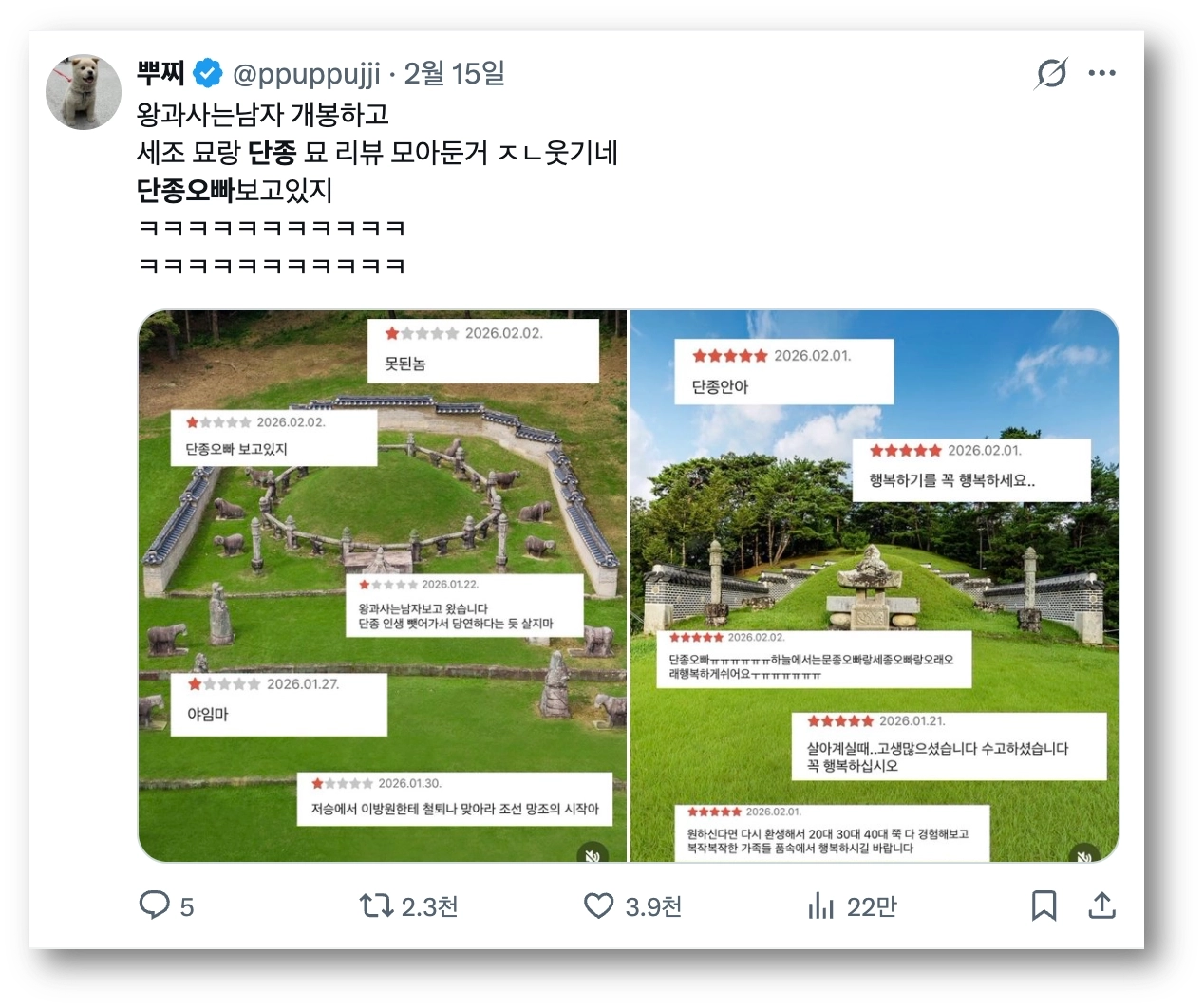 출처: https://x.com/ppuppujji/status/2022833728796627195