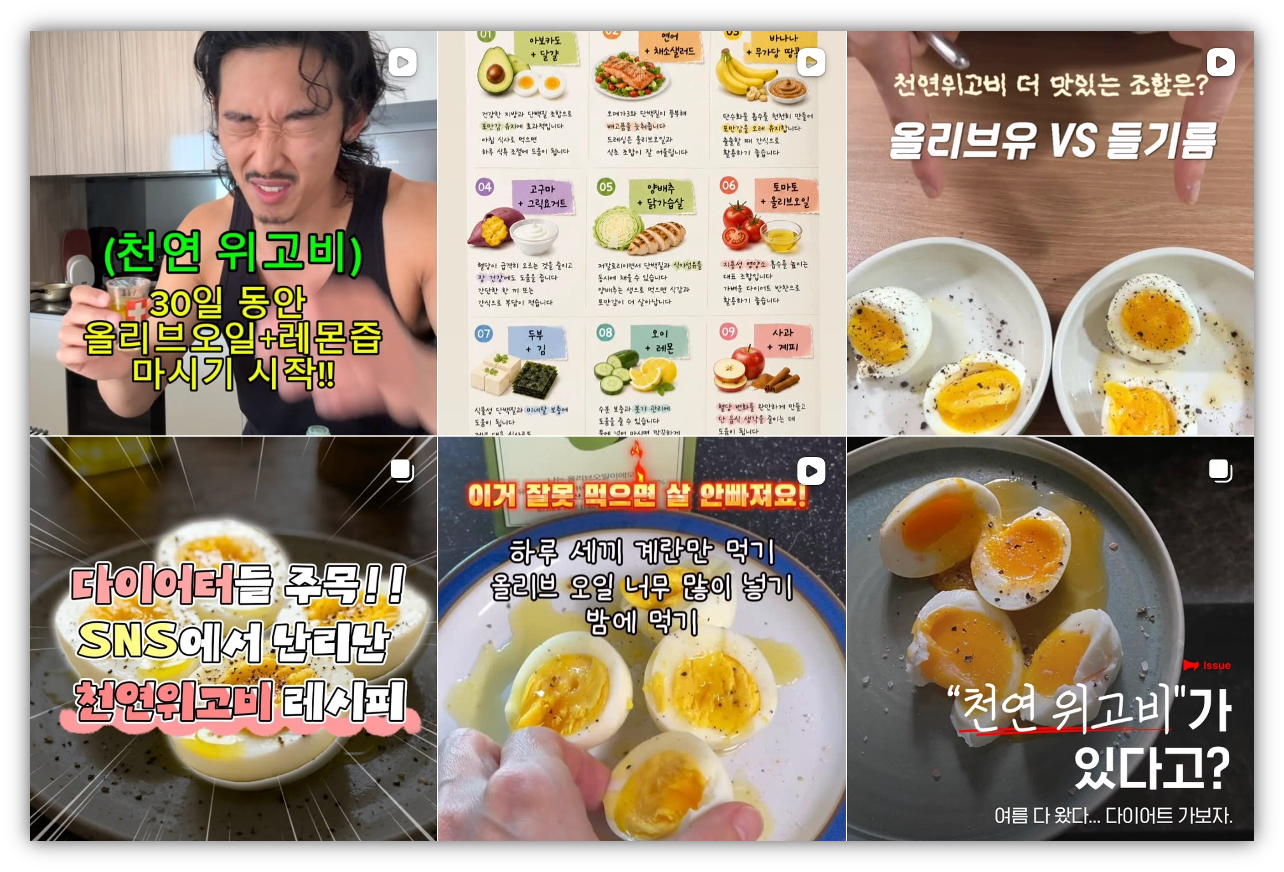 출처 : 인스타그램 #천연위고비