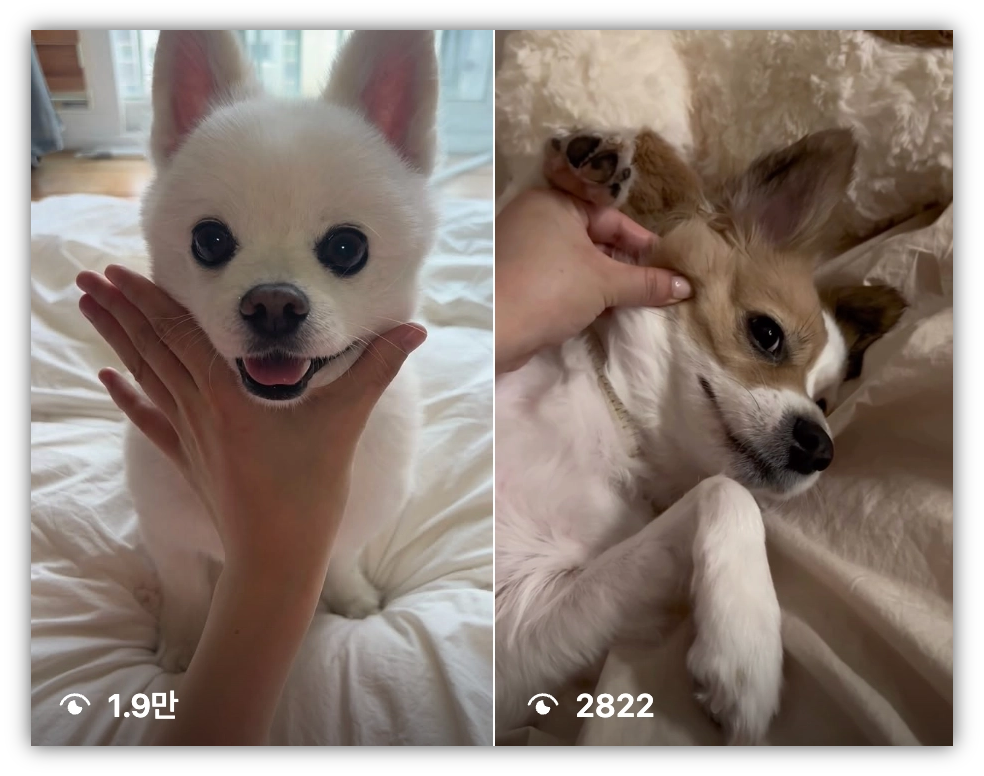 출처: 인스타그램 #영역전개