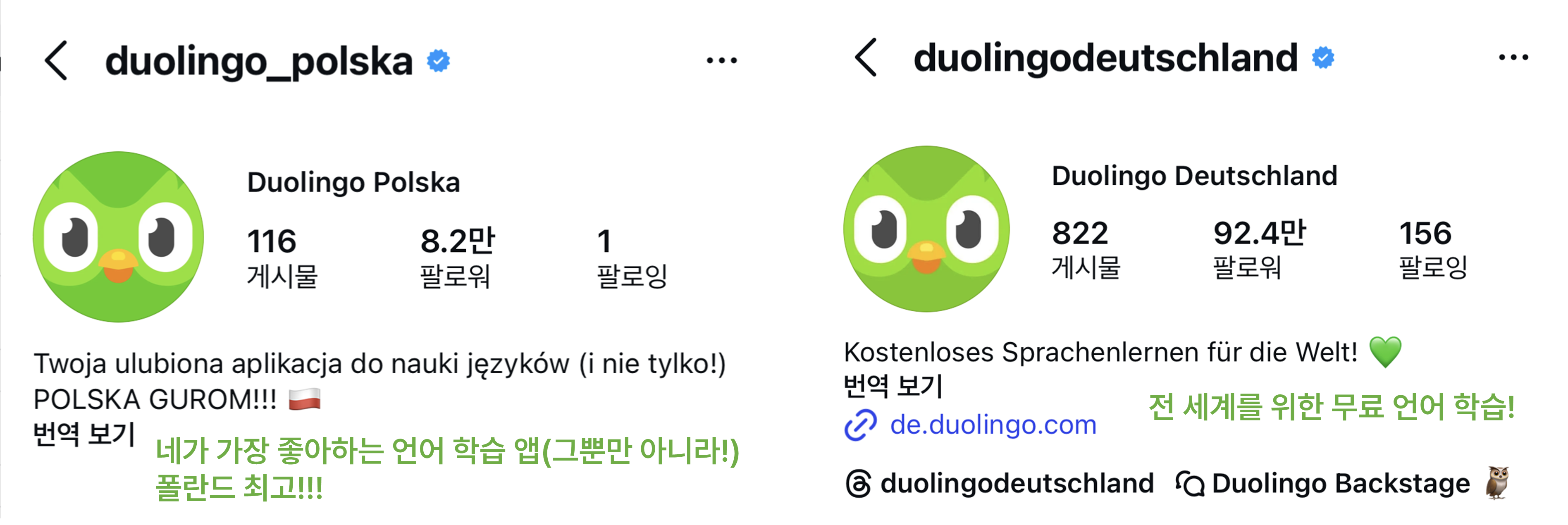 &nbsp; 폴란드와 독일의 듀오링고 소개글&nbsp;&nbsp;