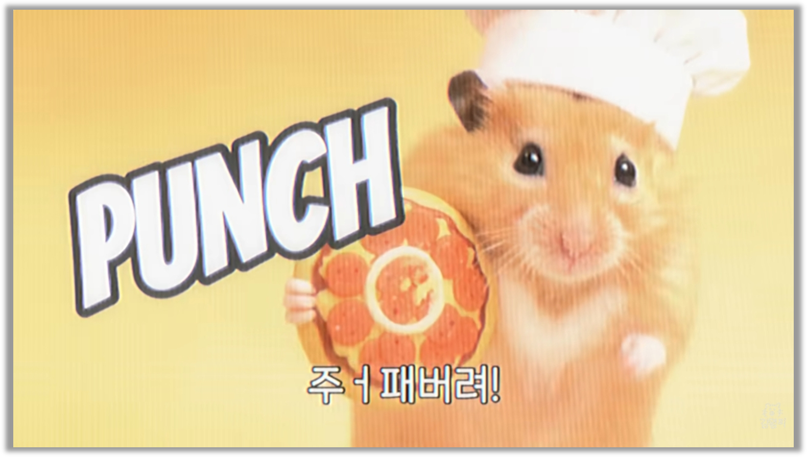 

출처 : 유튜브 @정서불안 김햄찌 (이미지 클릭 시 영상 재생)