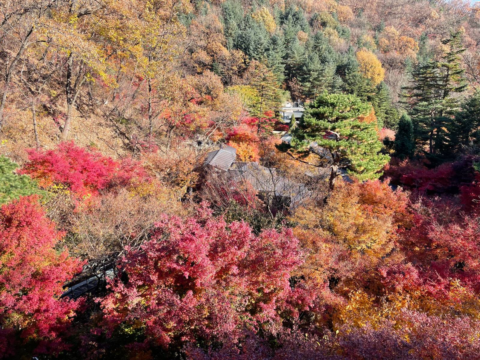 당신의 불안을 팀이 이미 알고 있을 때의 썸네일 이미지