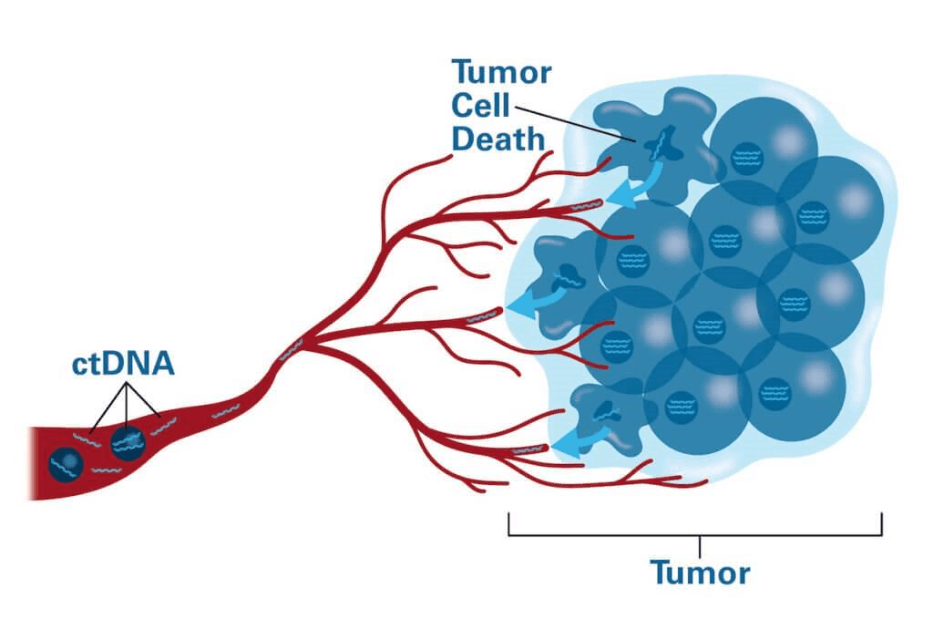 Source from: Dana-Farber Cancer Institute