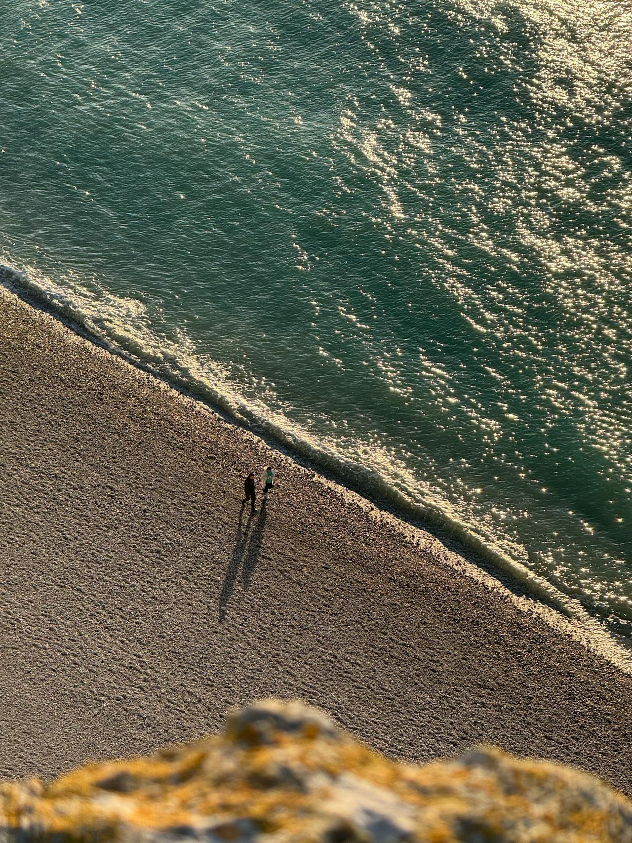 다능인을 위한 우선순위 l N잡과, 순서의 문제의 썸네일 이미지