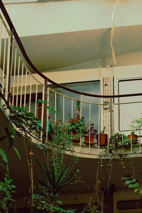 (중요) 제휴마케팅 : 내겐 어려운 글쓰기 방식, 그리고 수월한 방식 (이 둘을 섞어보기)의 썸네일 이미지