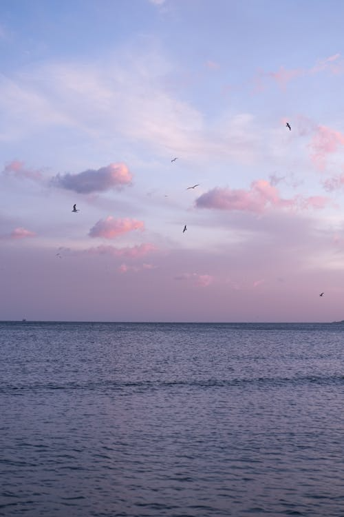 내 서사를 위한 기록법 ㅣ 기록의 이유(실 예시)의 썸네일 이미지