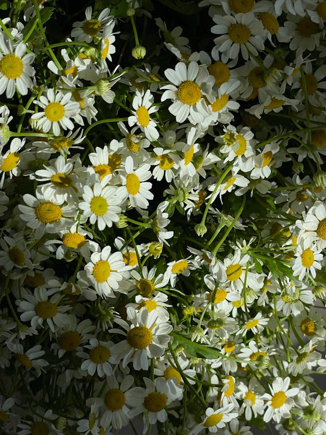 만만한 롤모델 정하기 : 박인권 만화 (쩐의전쟁, 열혈장사꾼 등)와 기발함의 썸네일 이미지