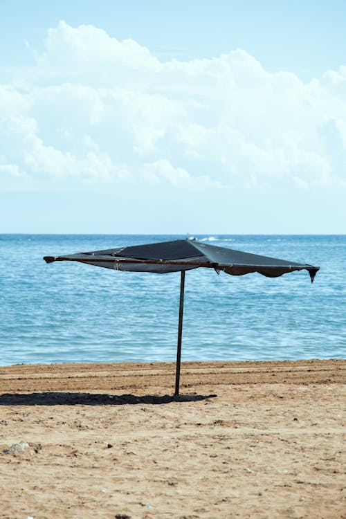 '수익화'에 대한 환상과, 현실적인 비유의 썸네일 이미지