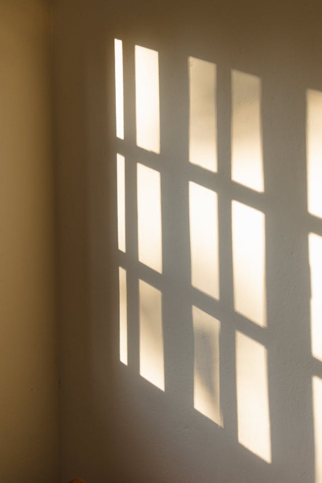 역으로 생각하는 연습 : 바이브 코딩을 하겠다는 사람들이 많아진다면.의 썸네일 이미지