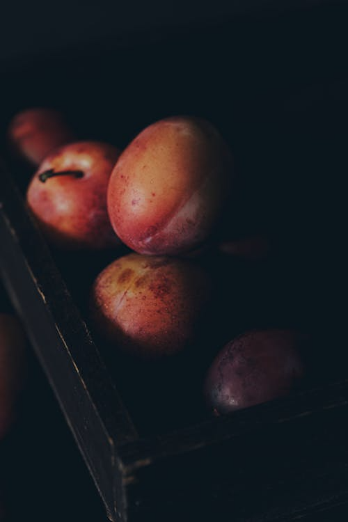 내부 콘텐츠를 마주한 뒤 : 저항감 자가진단의 썸네일 이미지