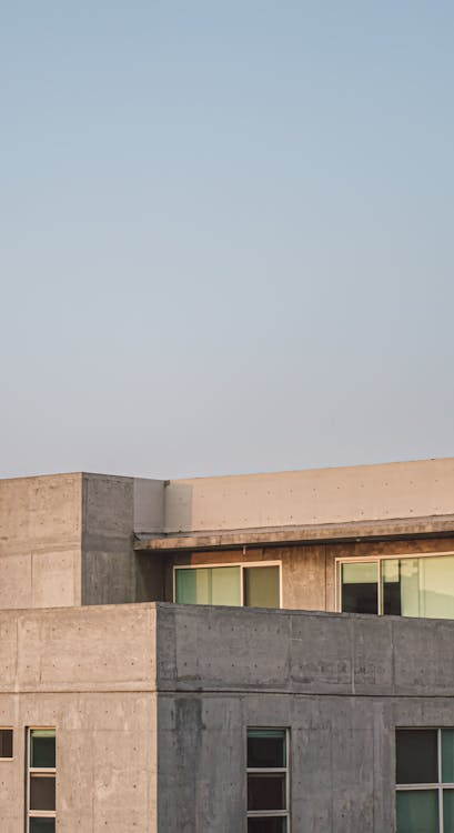 중요. AI 로스(Loss) l 나태함에 대한 면죄부를 팔자의 썸네일 이미지