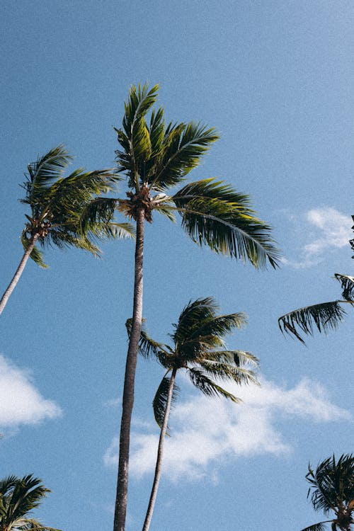 '잠깐의 기분'에 속아 넘어가지 않는 장치. 루틴.의 썸네일 이미지