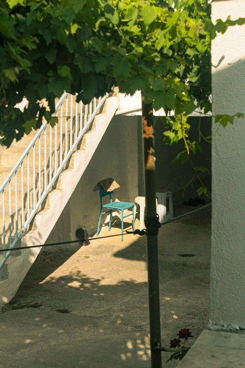 오래가는 협업 : '망상 도파민'의 속도와 '실질 결과물'의 속도의 썸네일 이미지