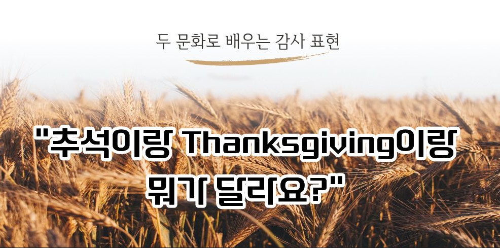 #54 - "엄마, 우리도 Thanksgiving 해봐요!" - 추석에 배우는 감사 영어의 썸네일 이미지
