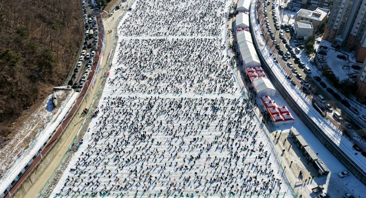 (출처=국민일보)