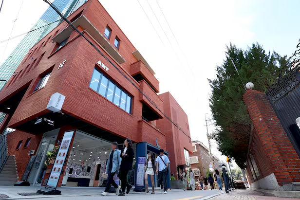 (출처 = 조선일보)