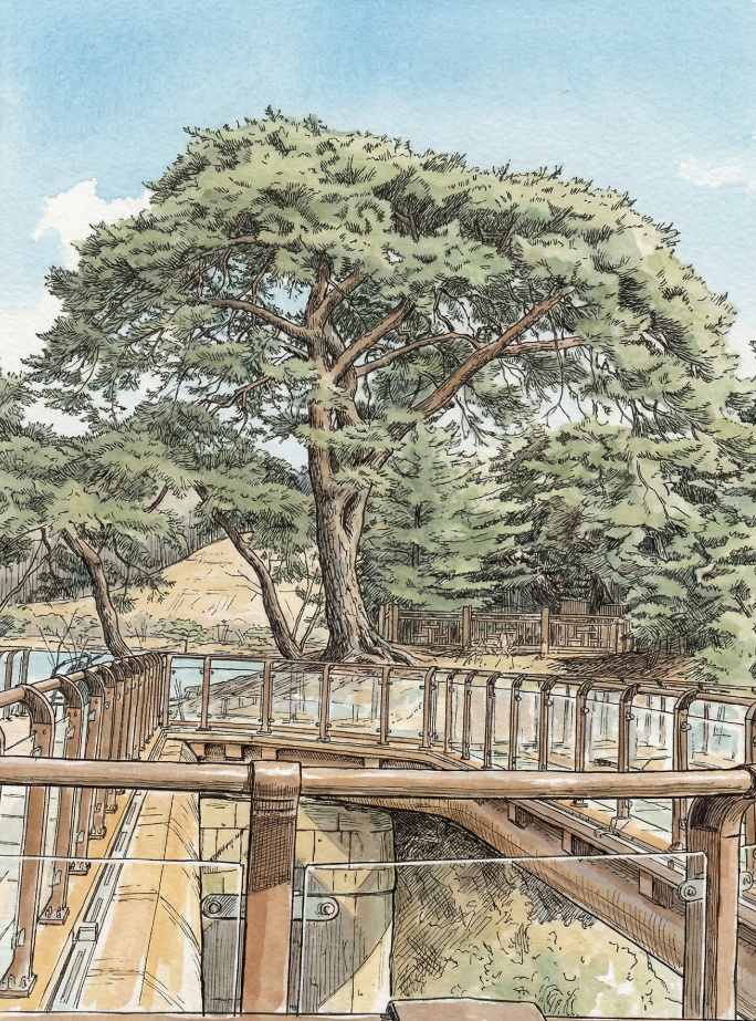 후선각/임소터의 소나무(2023.02.20. 촬영실사, AI 화풍 리터칭)