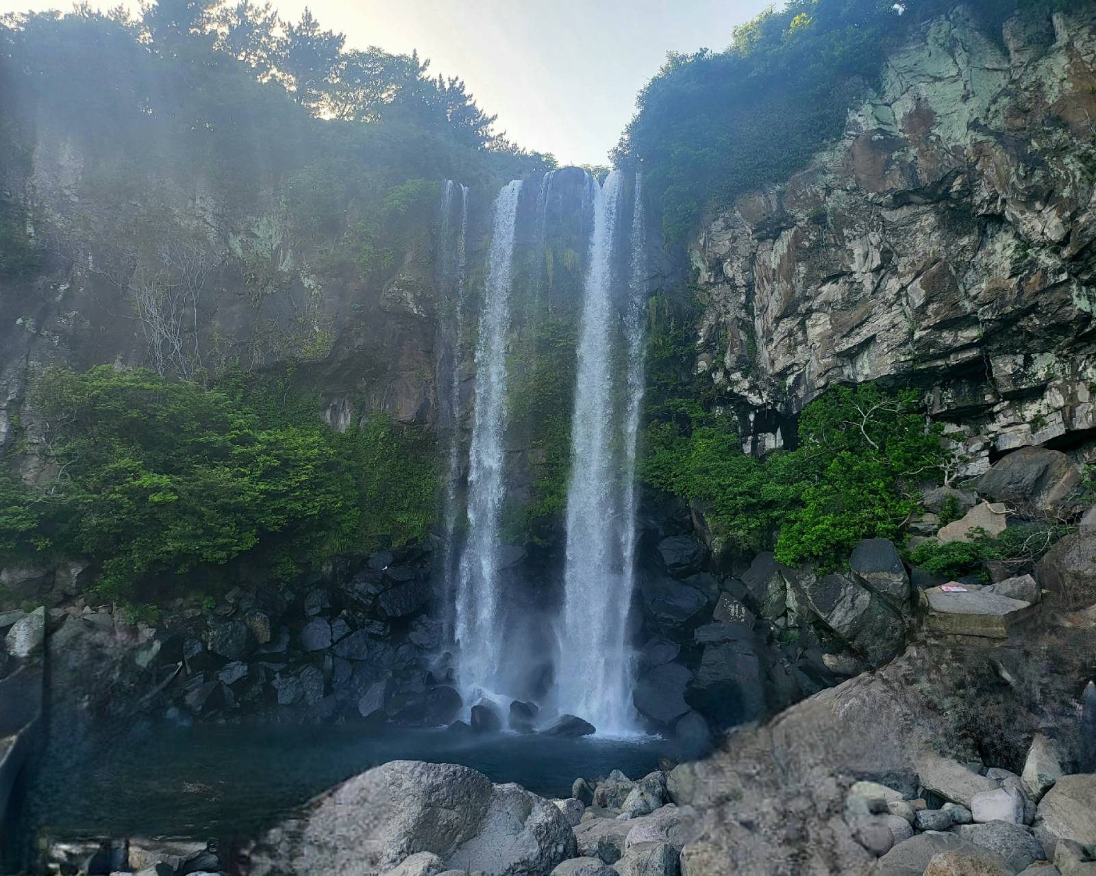 첨부 이미지
