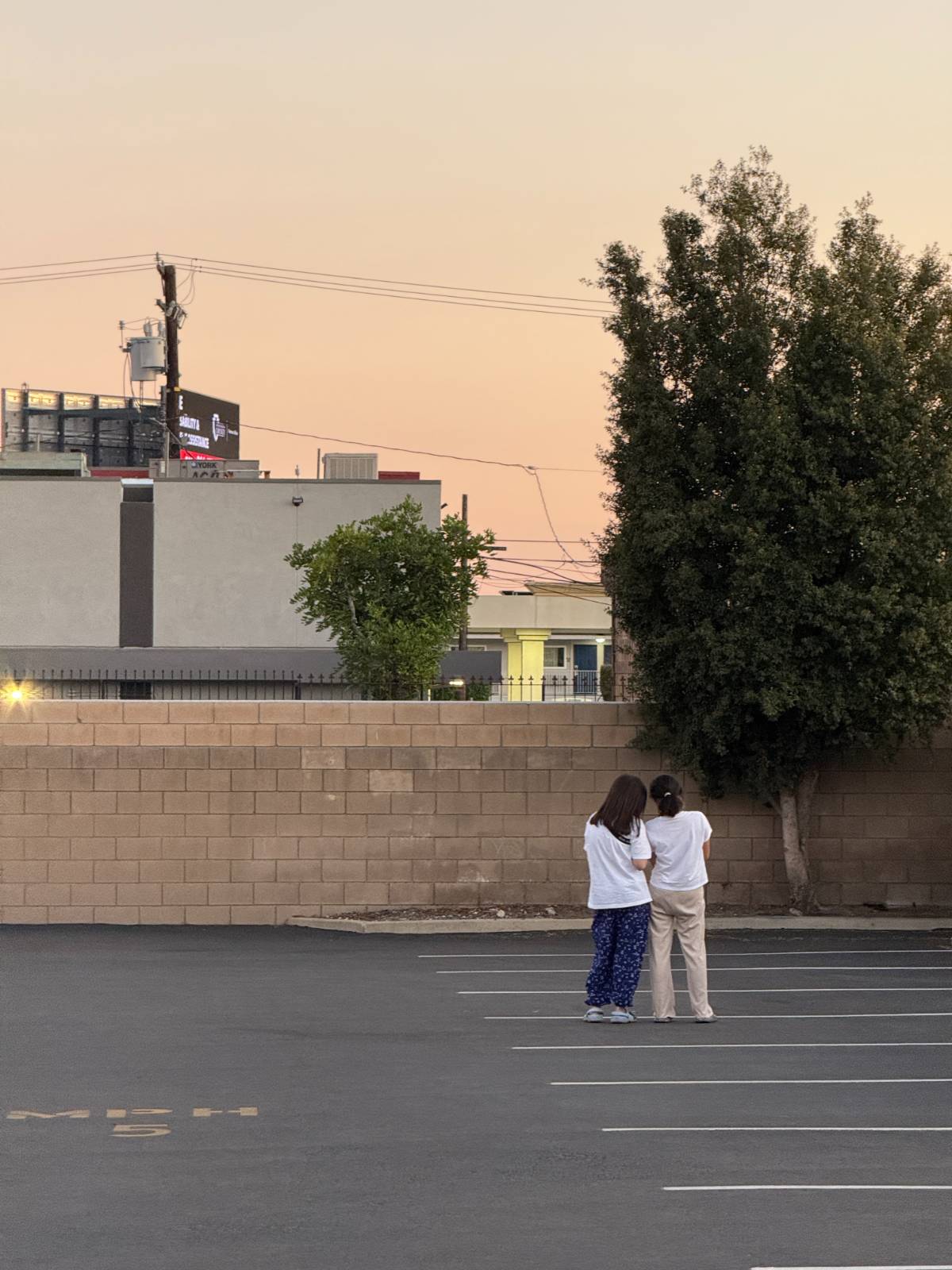 매일 저녁 길고양이 보러 다니는 나휼(왼쪽)이와 Esther(오른쪽)