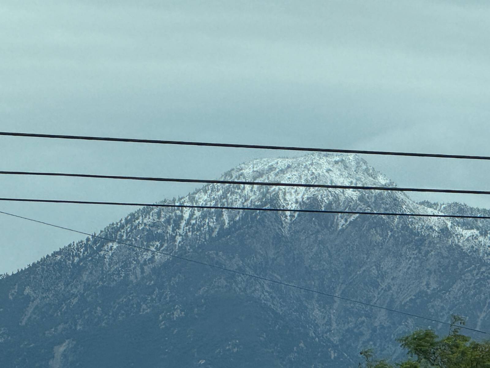 비가 많이 온 다음날, 도서관 다녀오는 길에 발견한 눈 덮힌 뒷(?)산