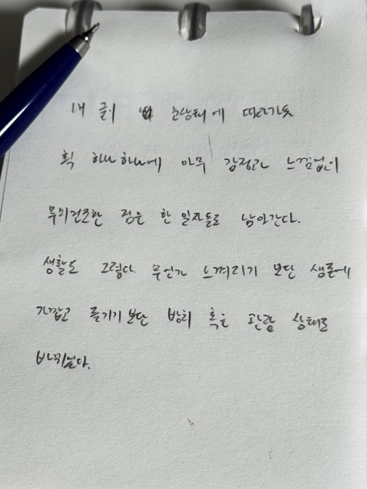 제목 없음의 썸네일 이미지