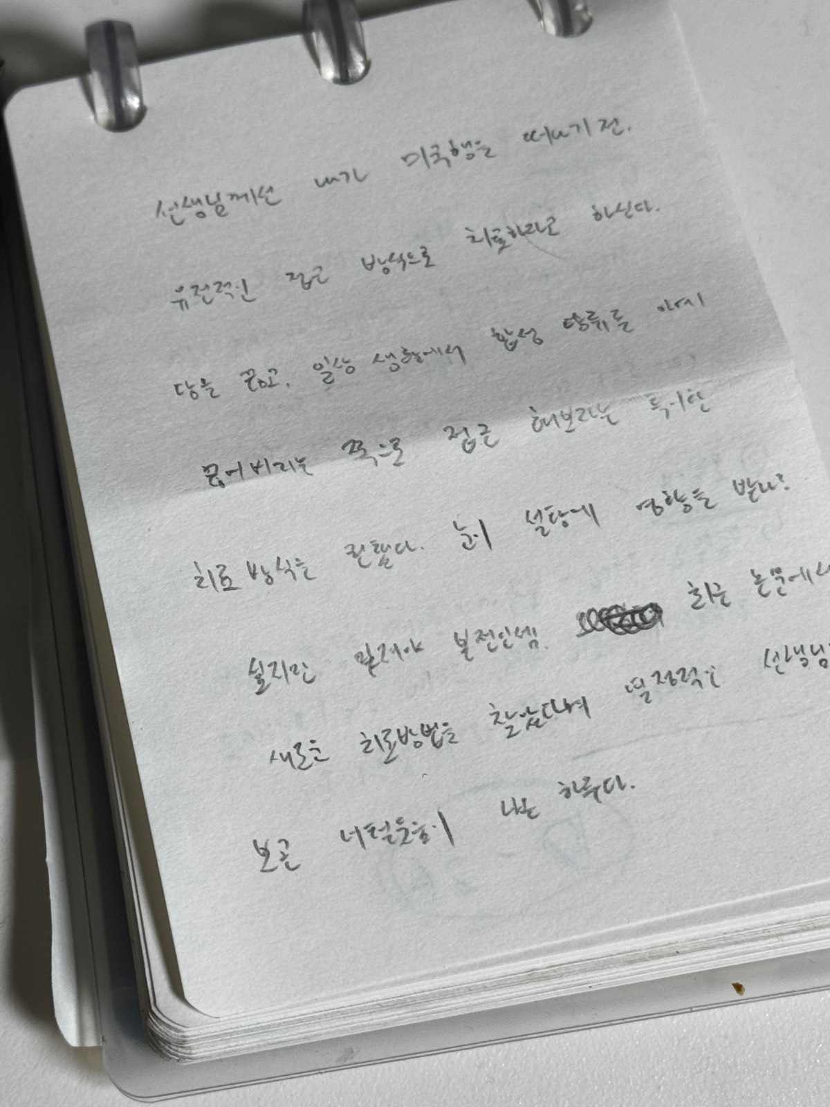 제목 없음의 썸네일 이미지