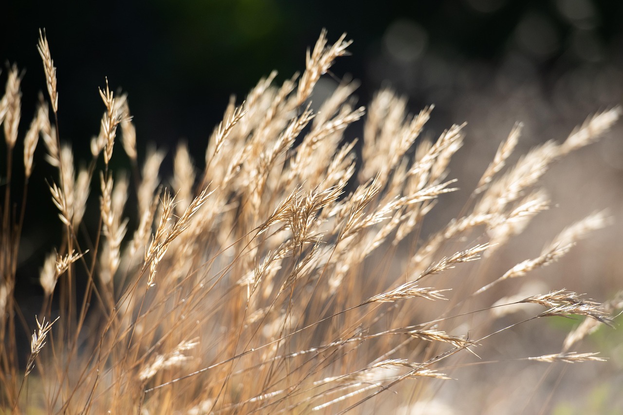소란의 머무름과 고요의 깃듦의 썸네일 이미지